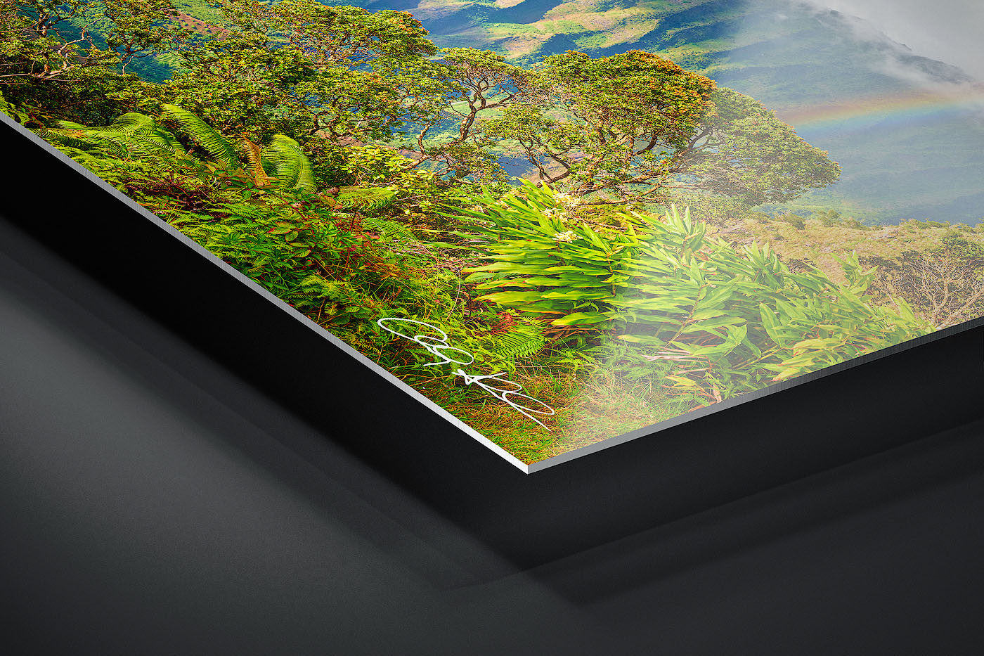 HD Metal Print | Ready to Hang print preview
