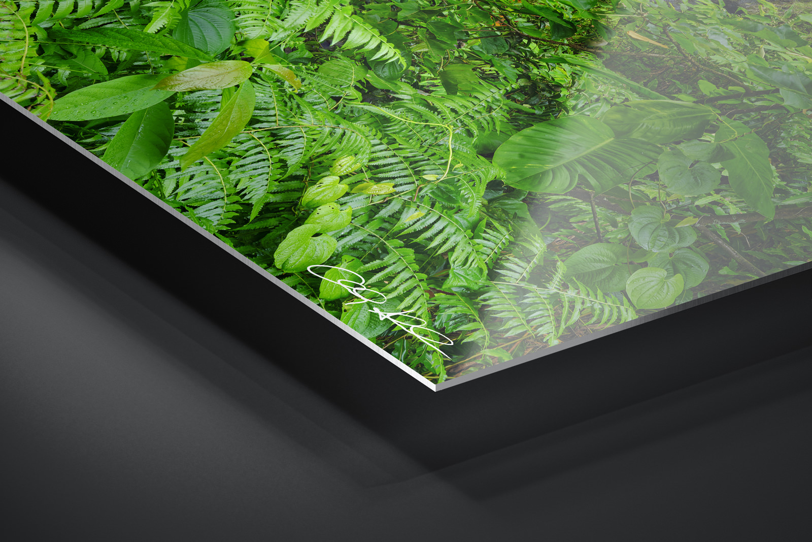 HD Metal Print | Ready to Hang print preview