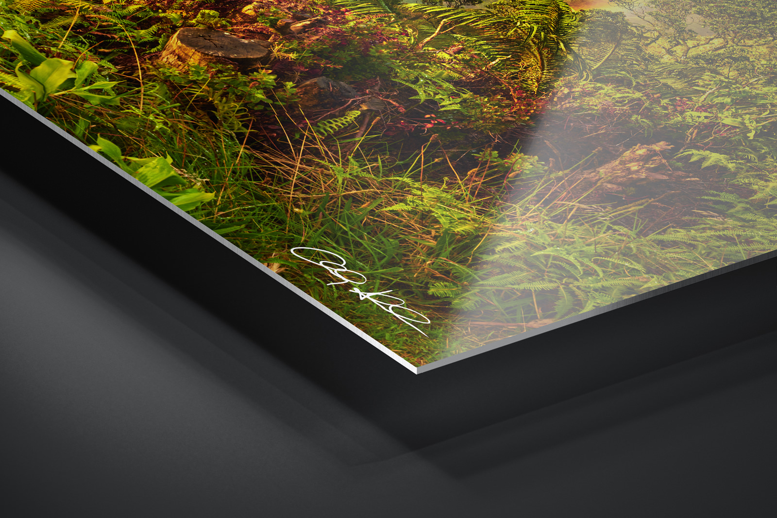 HD Metal Print | Ready to Hang print preview