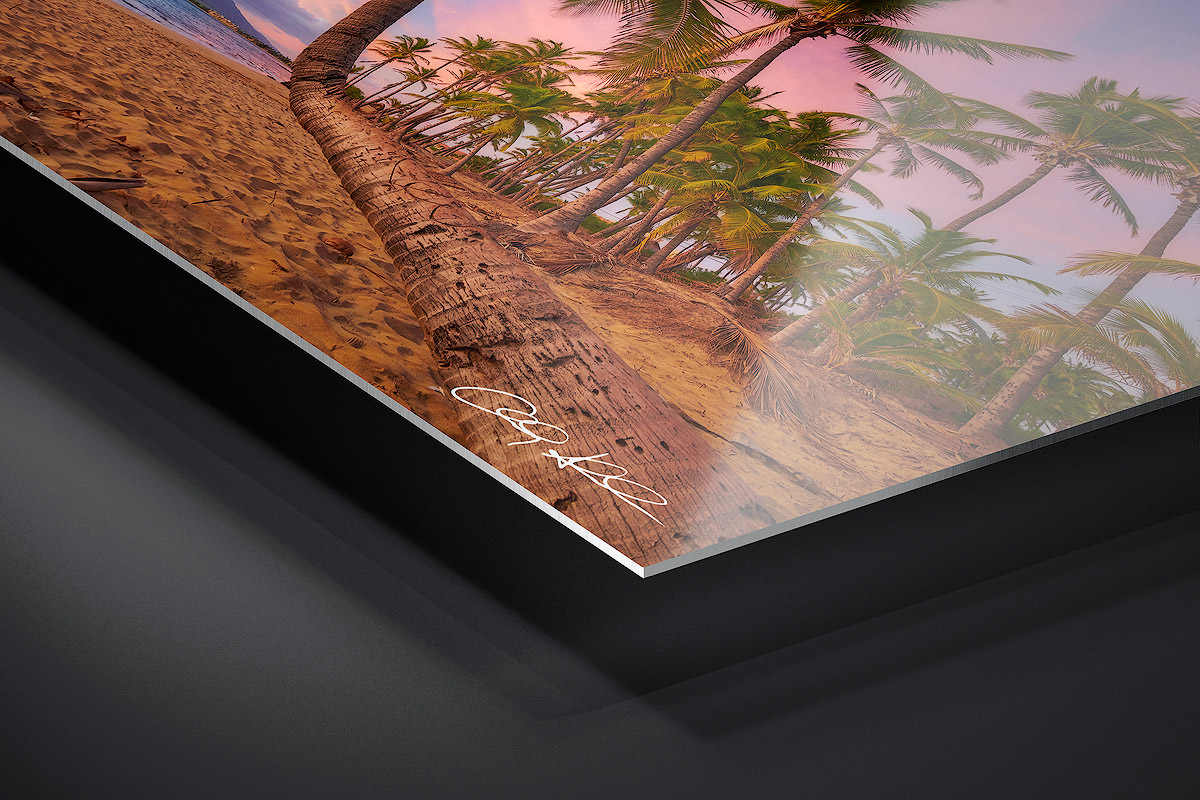 HD Metal Print | Ready to Hang print preview