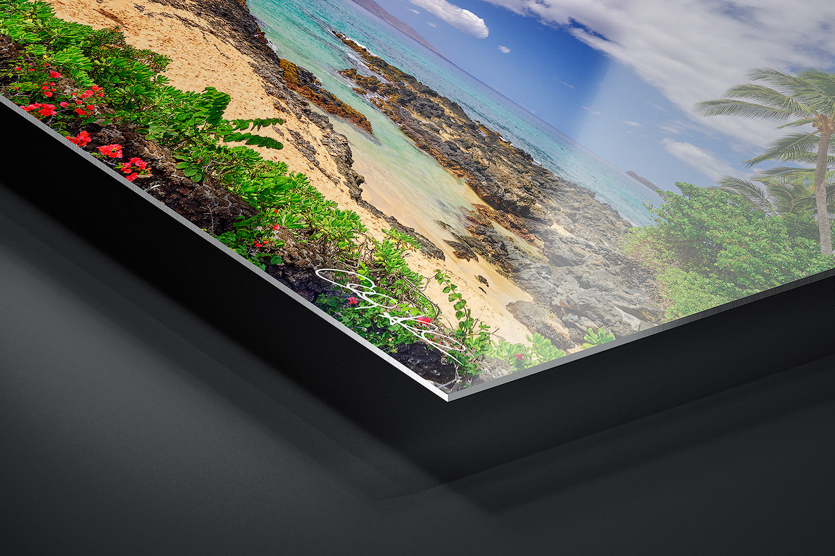HD Metal Print | Ready to Hang print preview