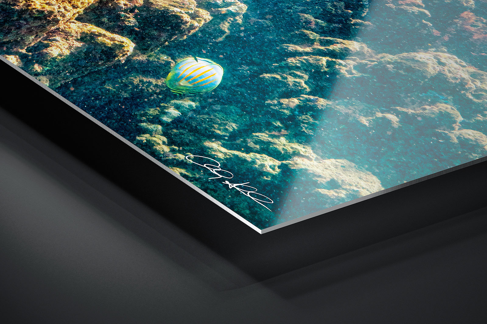 HD Metal Print | Ready to Hang print preview