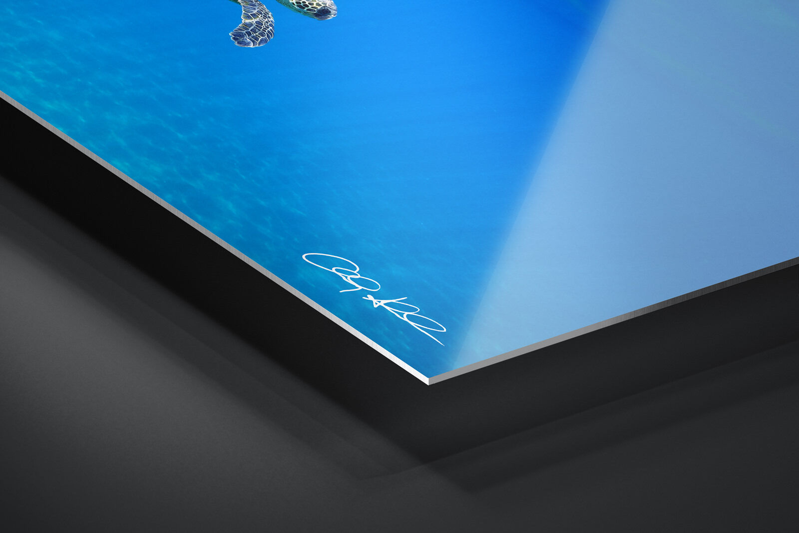 HD Metal Print | Ready to Hang print preview