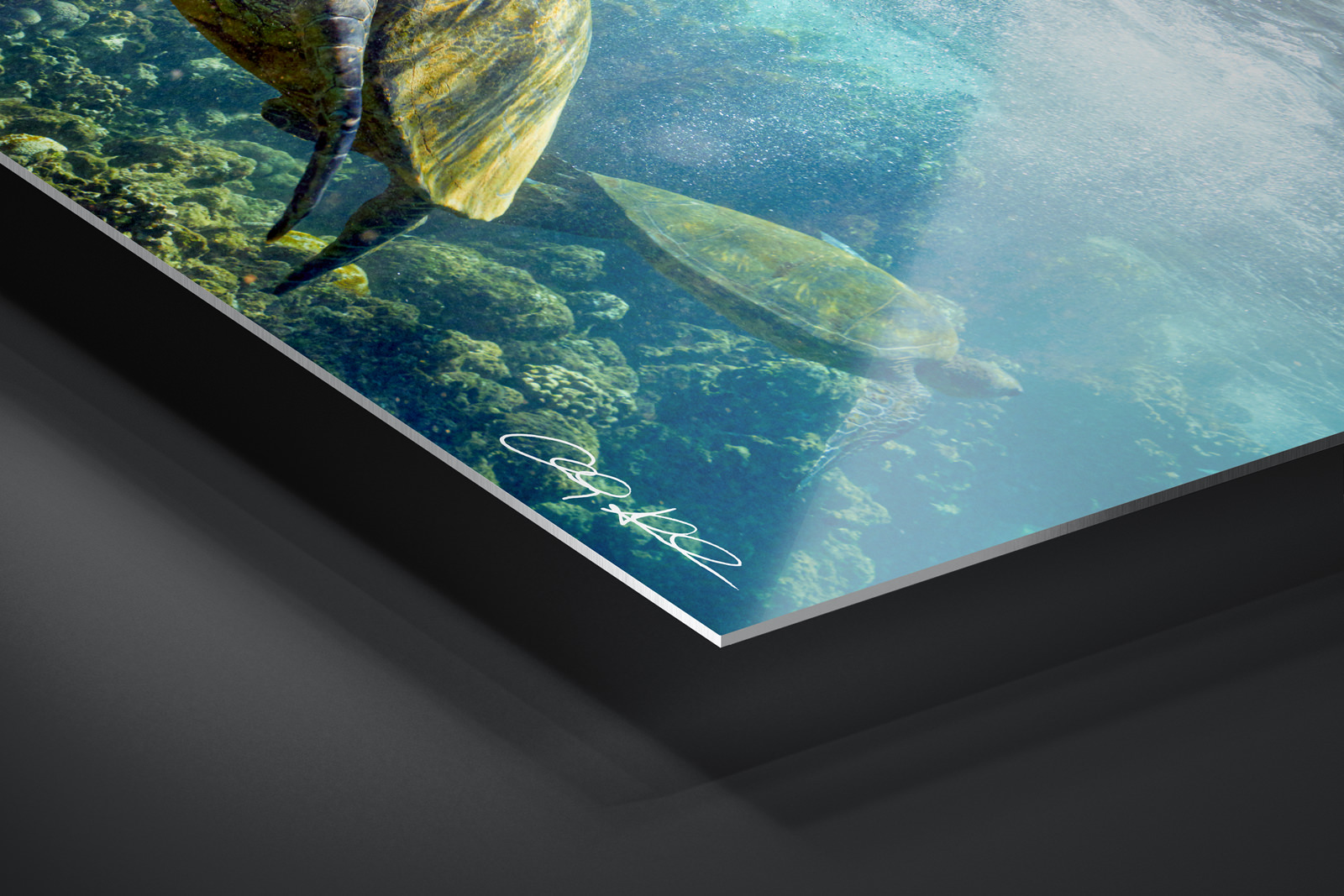 HD Metal Print | Ready to Hang print preview