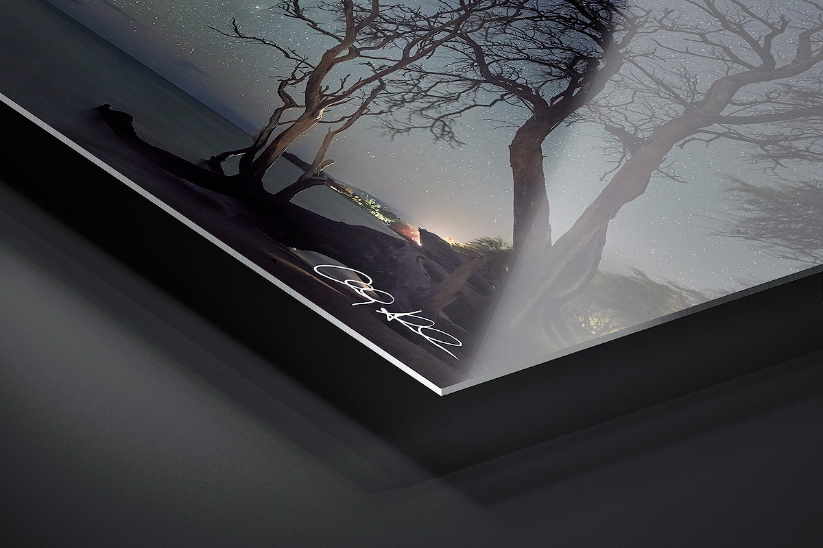 HD Metal Print | Ready to Hang print preview