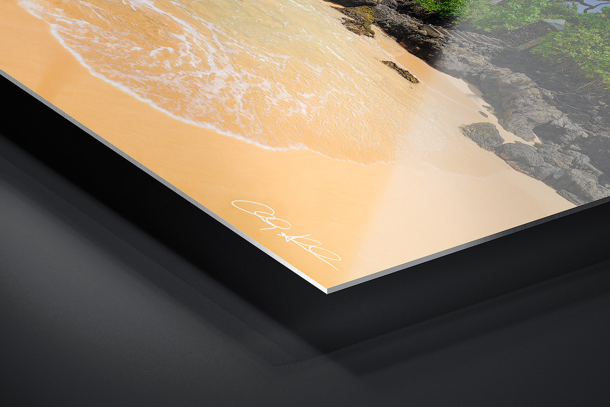 HD Metal Print | Ready to Hang print preview