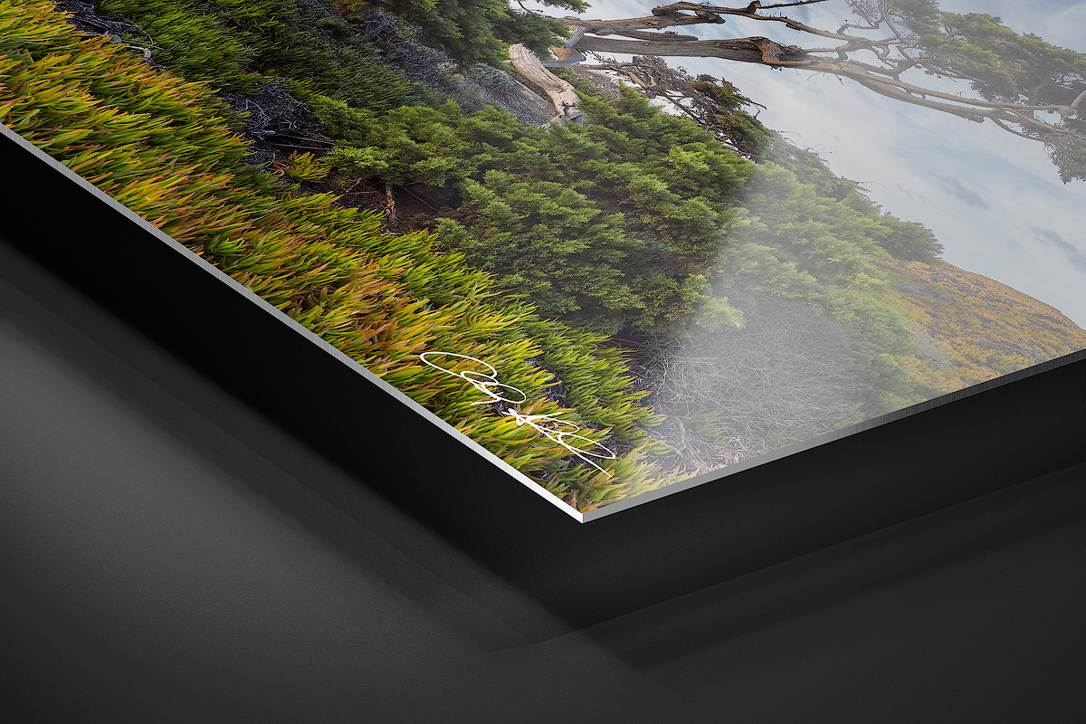 HD Metal Print | Ready to Hang print preview