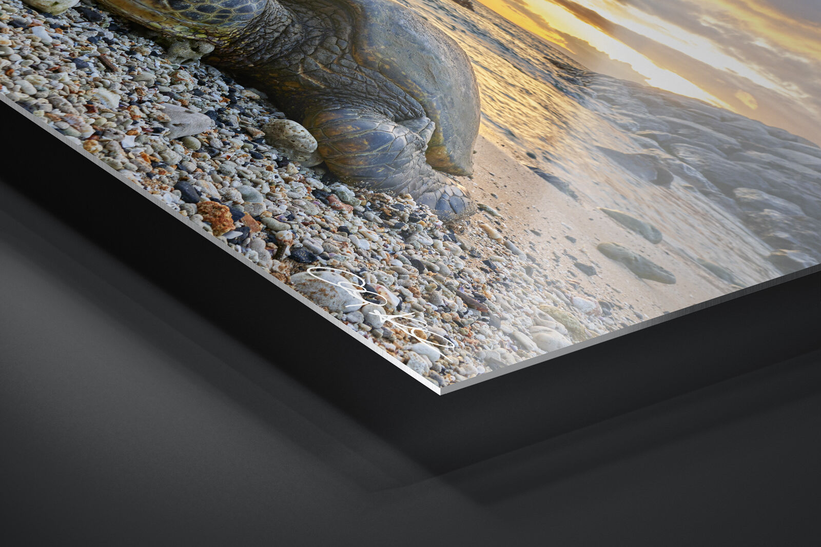HD Metal Print | Ready to Hang print preview