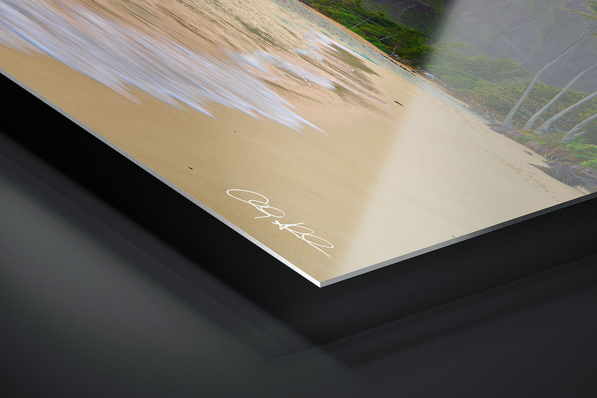 HD Metal Print | Ready to Hang print preview