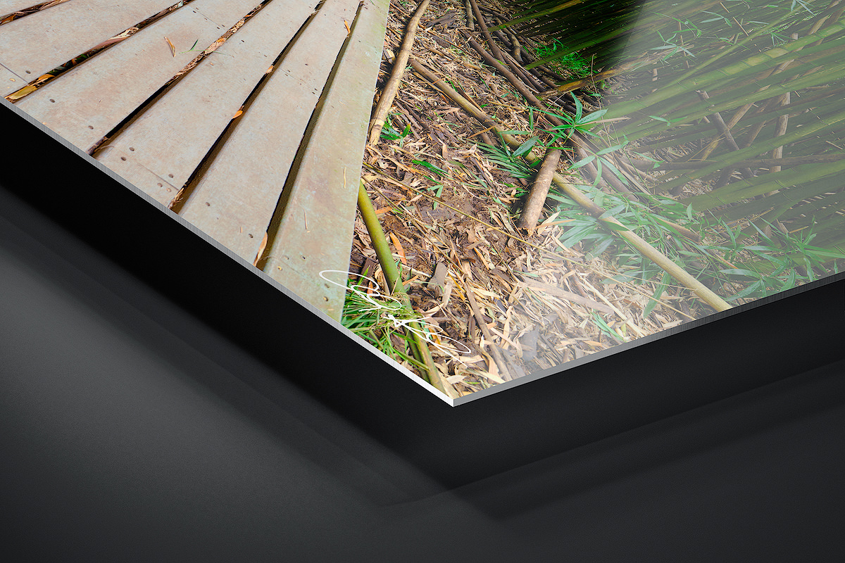 HD Metal Print | Ready to Hang print preview
