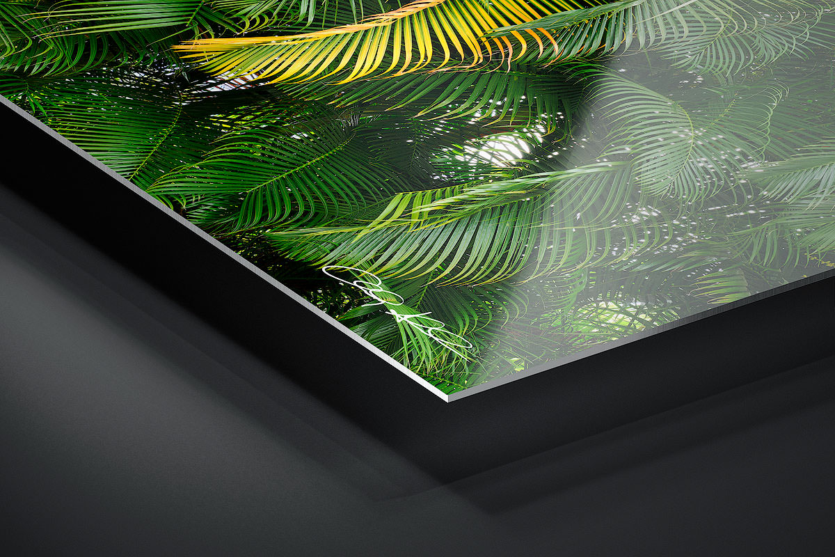 HD Metal Print | Ready to Hang print preview