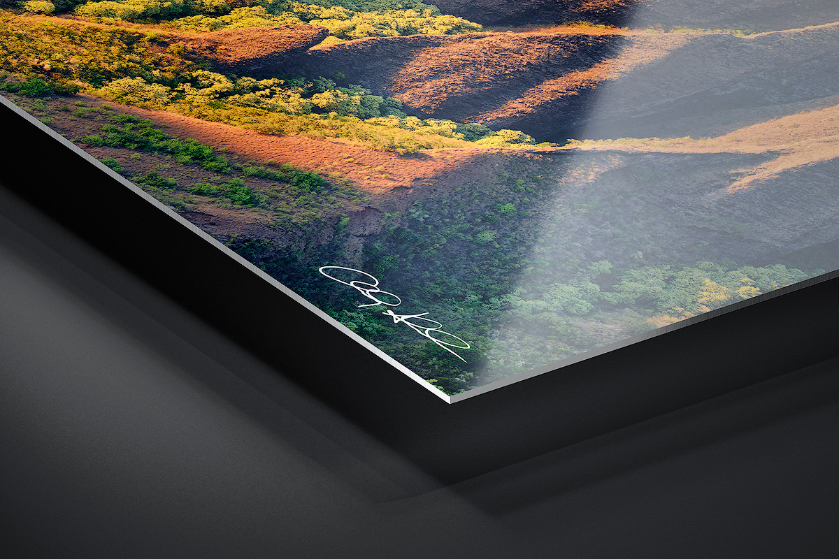 HD Metal Print | Ready to Hang print preview