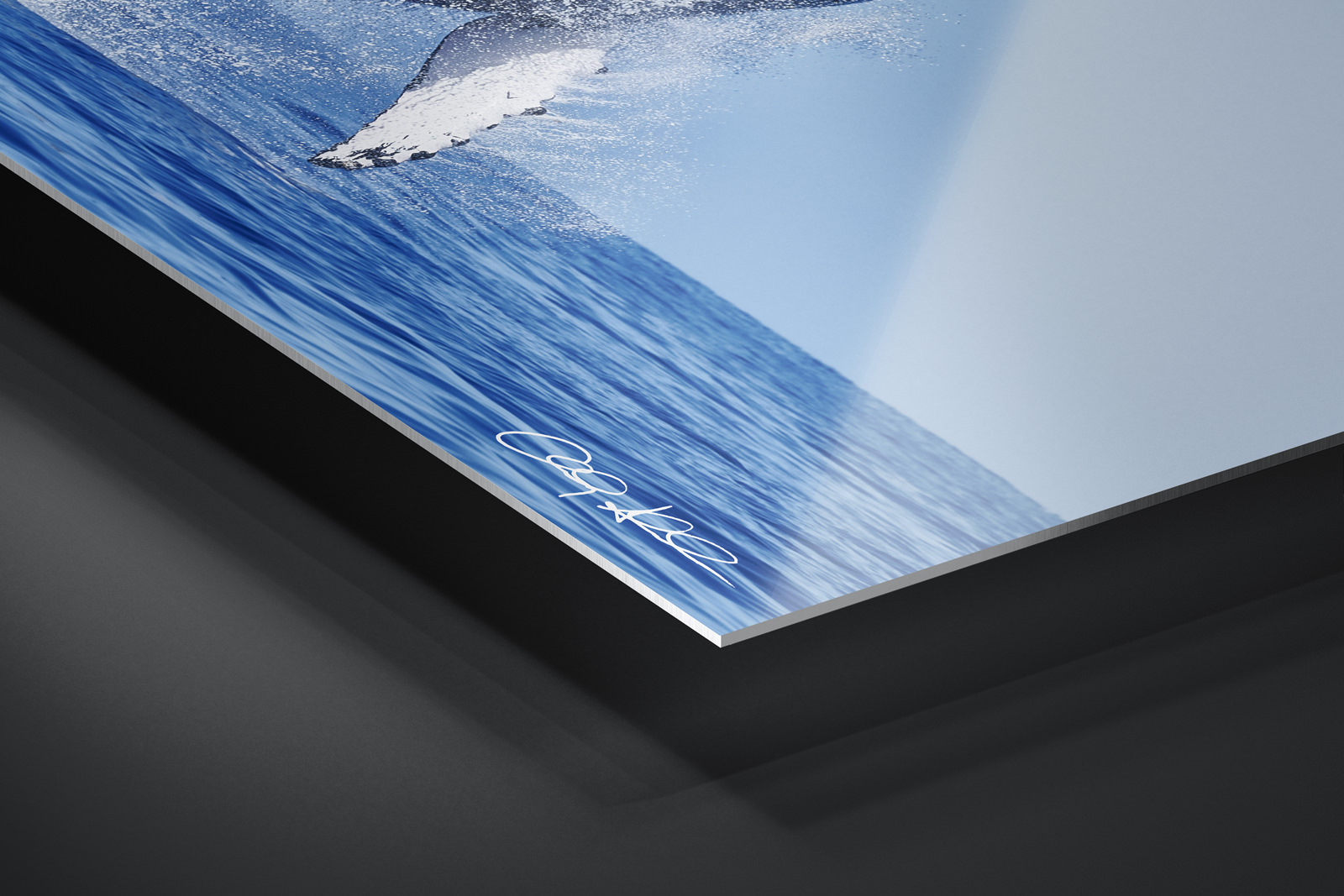 HD Metal Print | Ready to Hang print preview