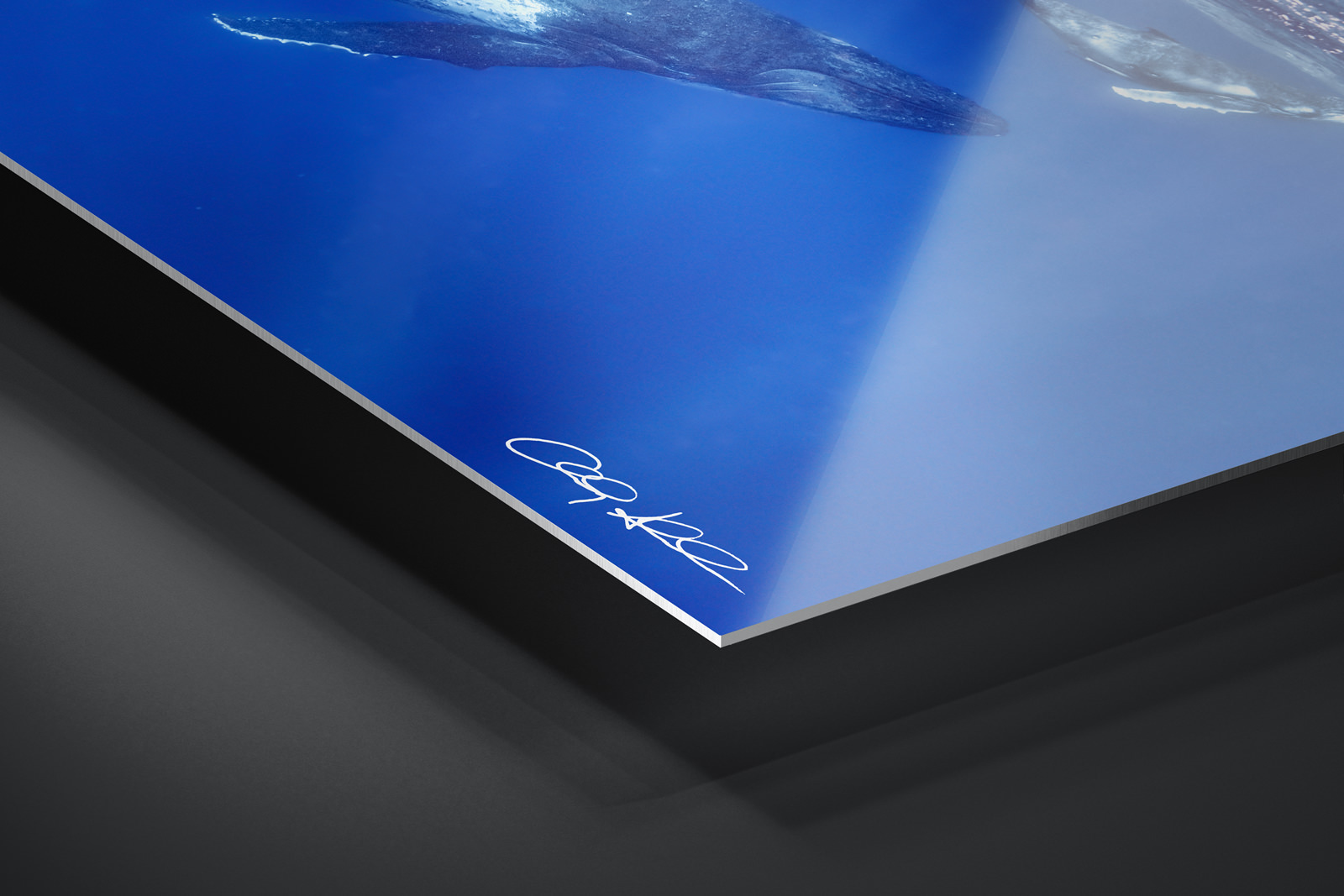 HD Metal Print | Ready to Hang print preview