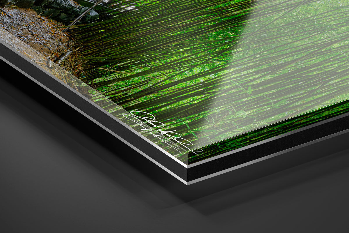 Acrylic Facemount | Ready to Hang print preview