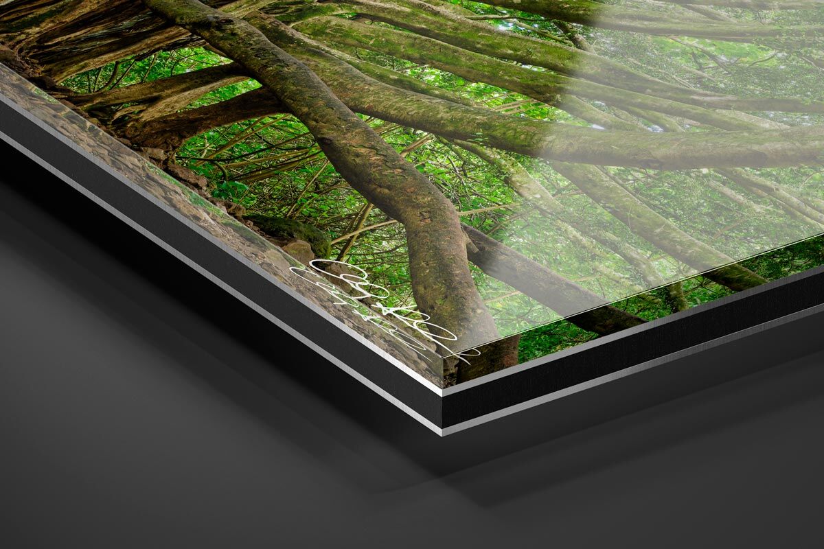 Acrylic Facemount | Ready to Hang print preview