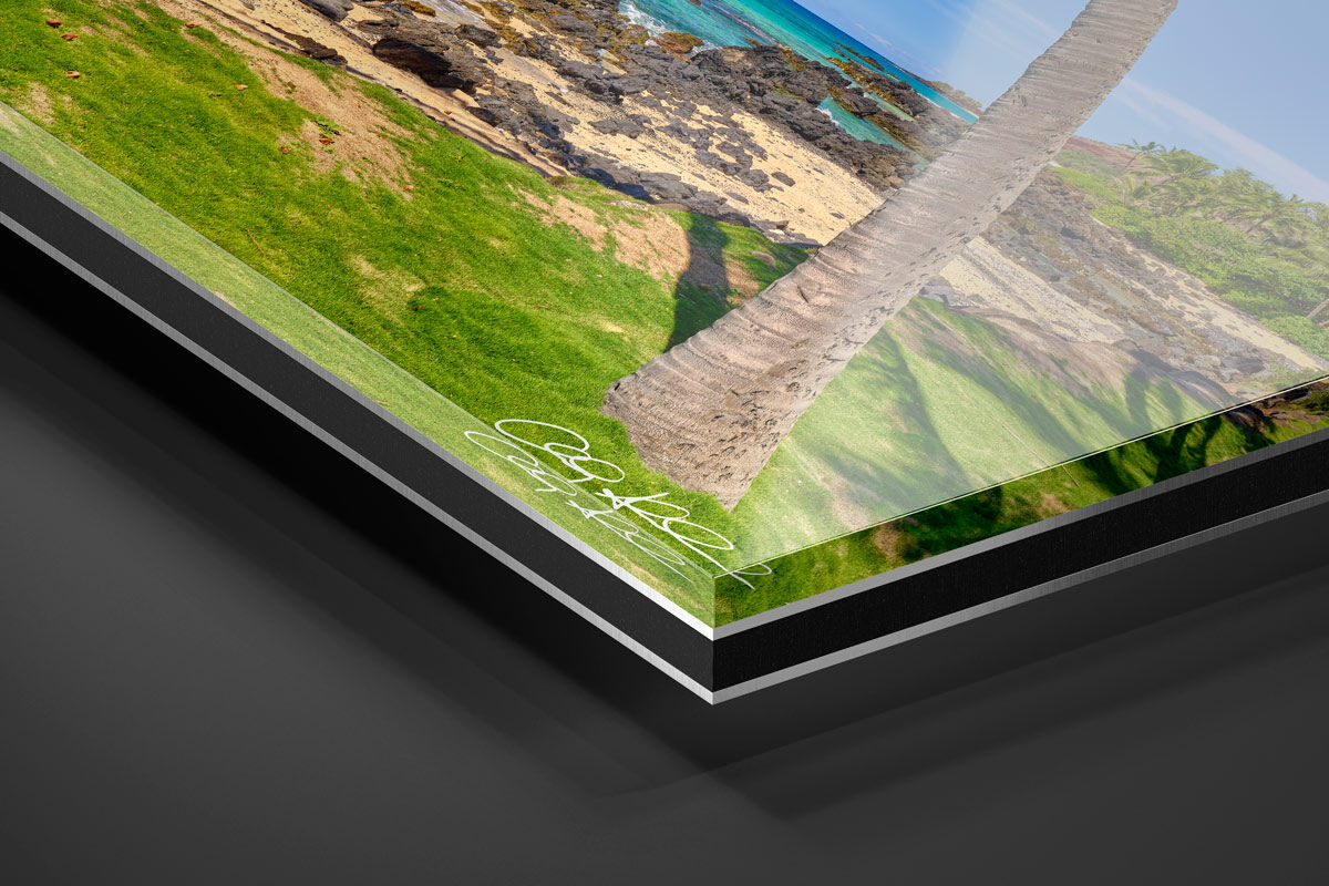 Acrylic Facemount | Ready to Hang print preview