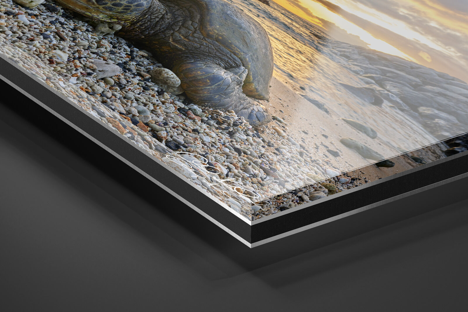 Acrylic Facemount | Ready to Hang print preview
