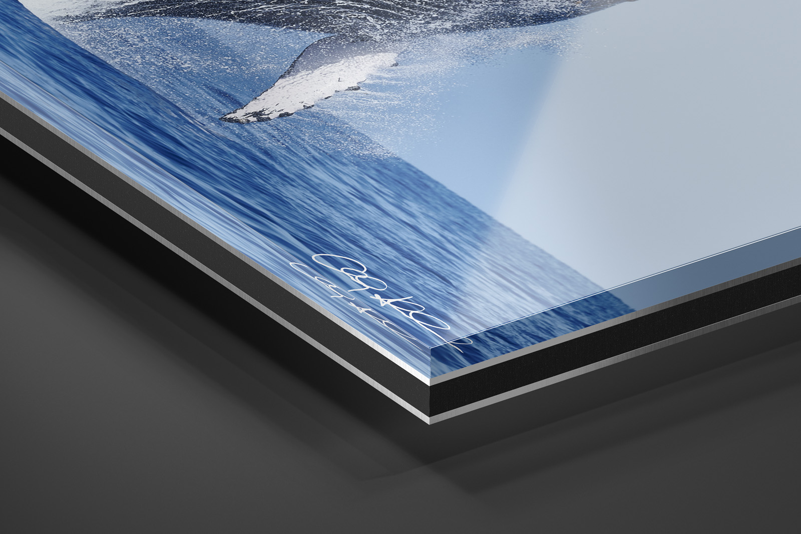 Acrylic Facemount | Ready to Hang print preview
