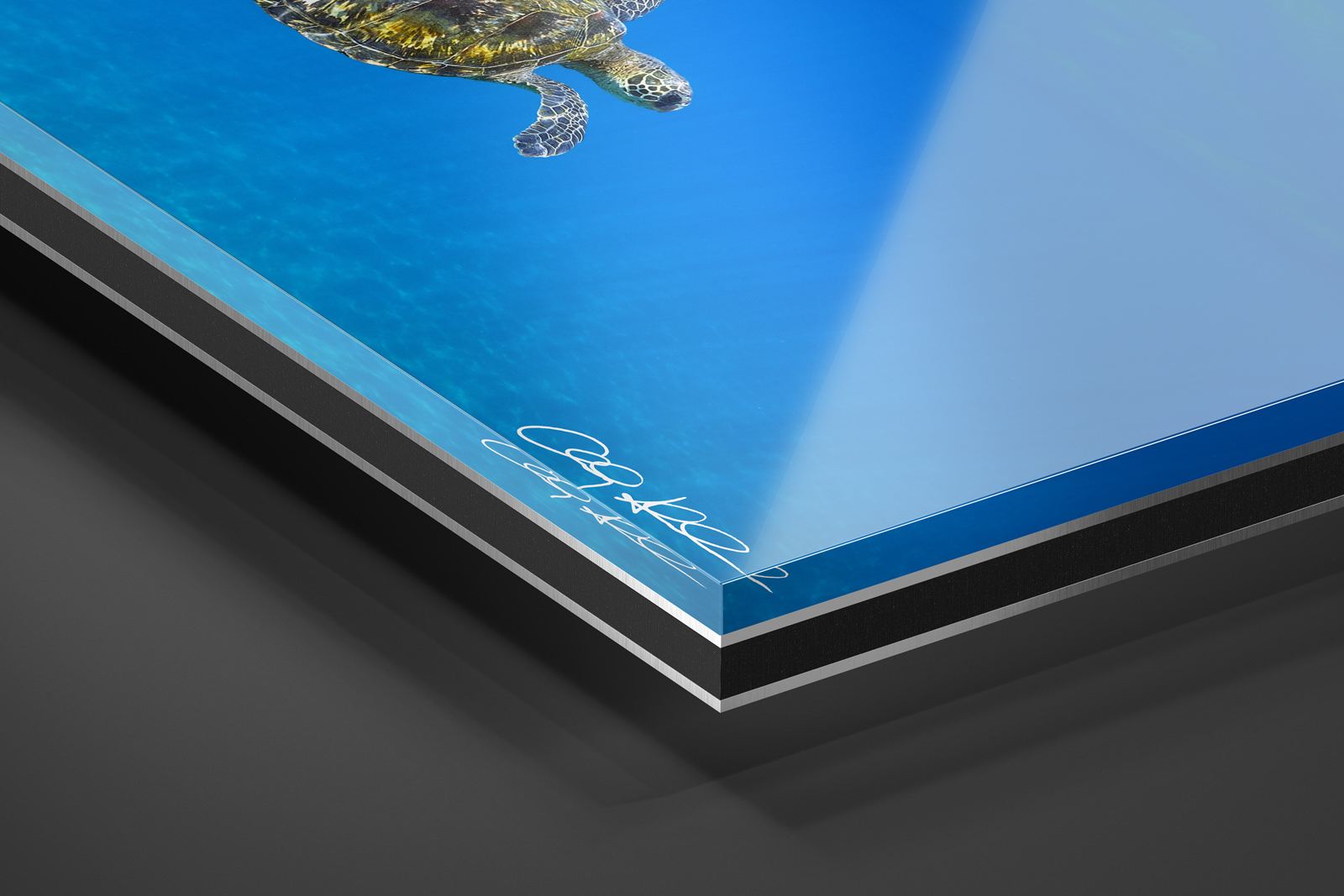 Acrylic Facemount | Ready to Hang print preview
