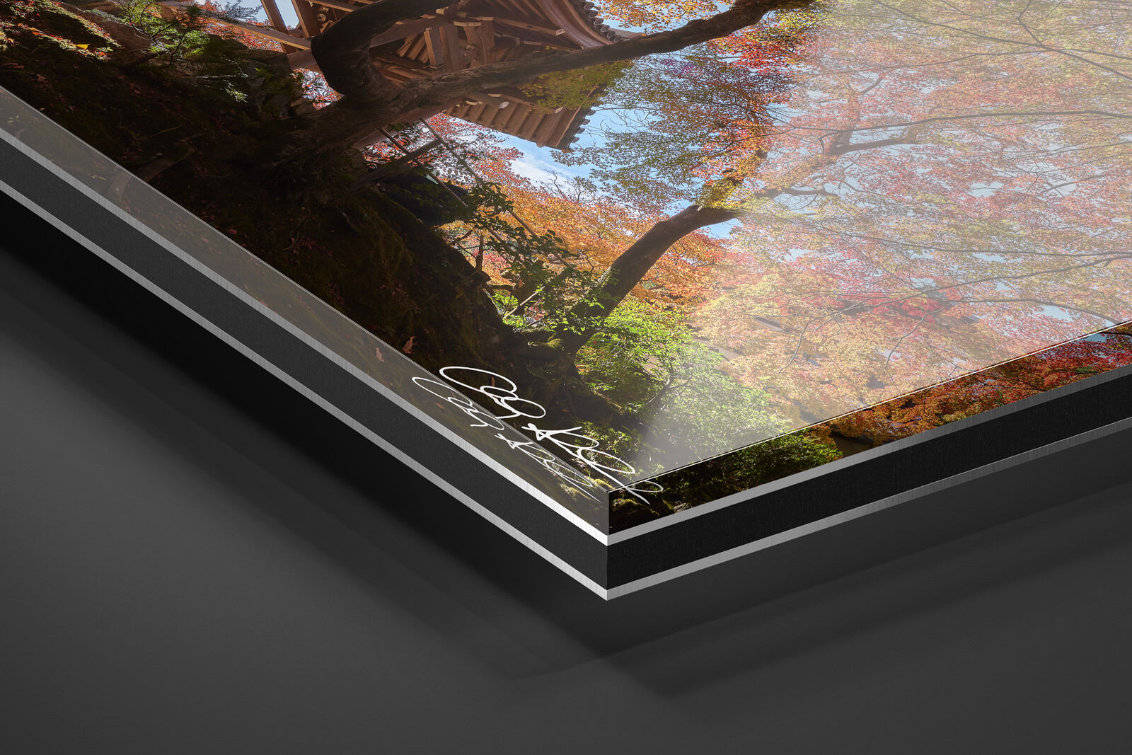 Acrylic Facemount | Ready to Hang print preview