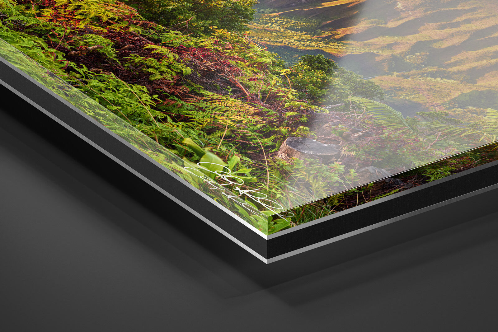 Acrylic Facemount | Ready to Hang print preview