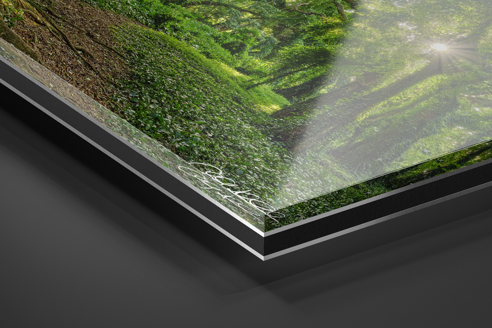 Acrylic Facemount | Ready to Hang print preview