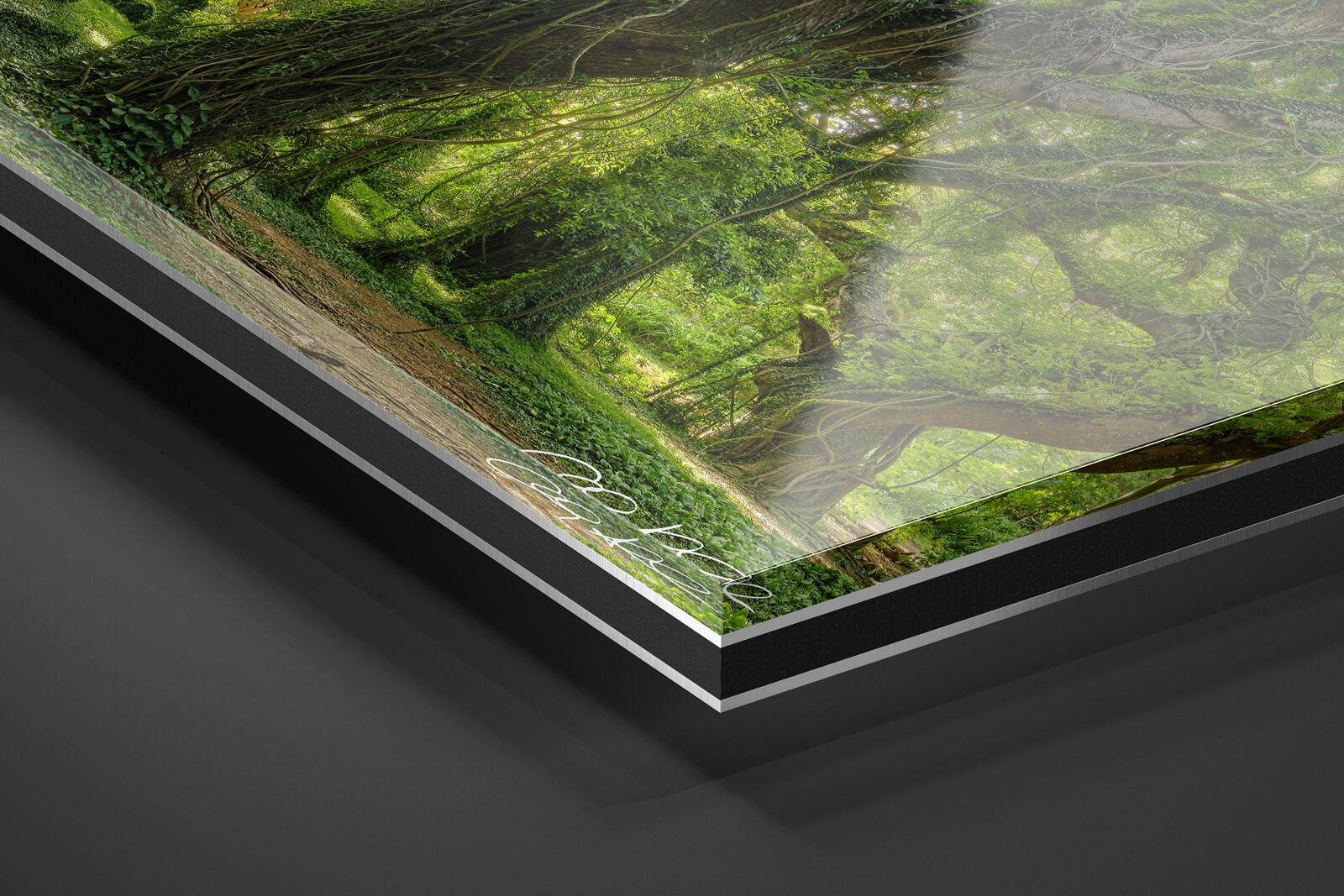 Acrylic Facemount | Ready to Hang print preview