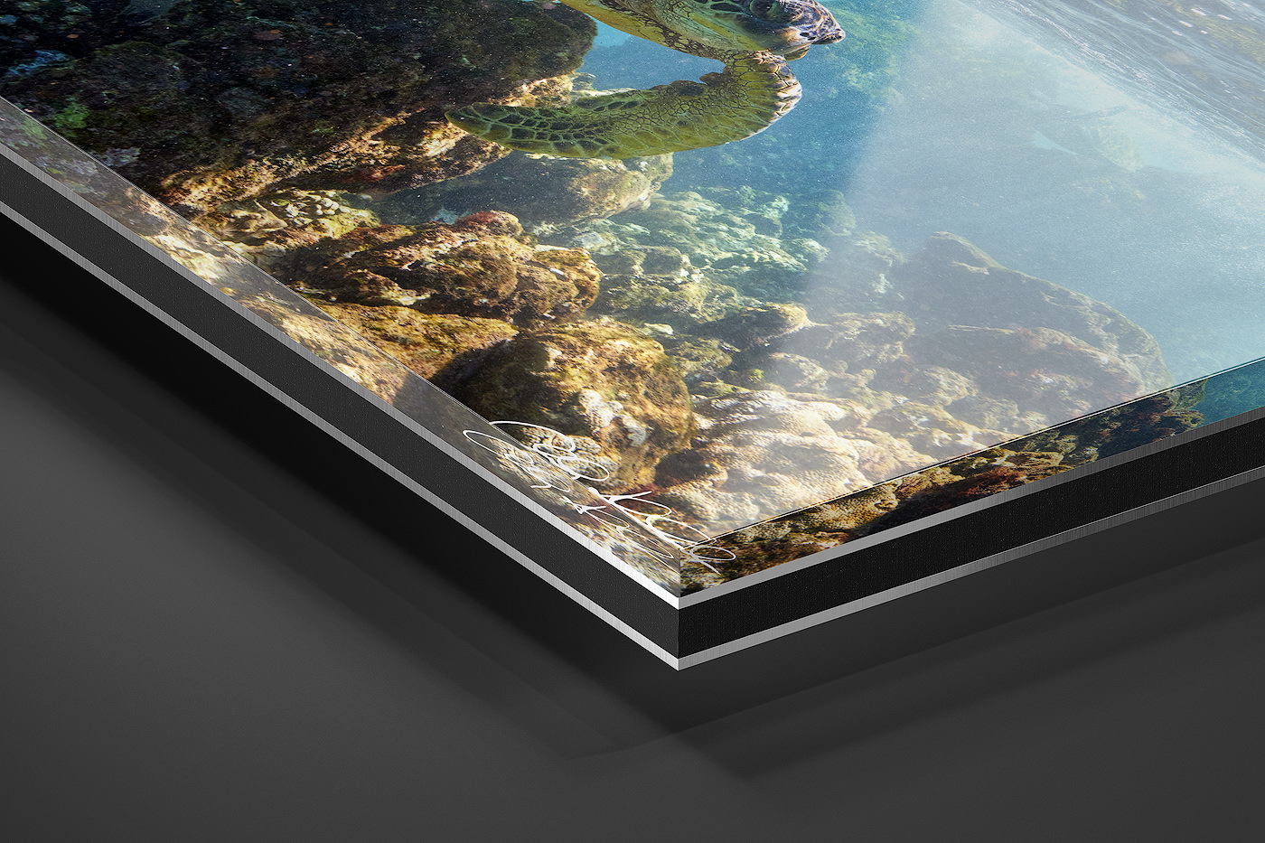 Acrylic Facemount | Ready to Hang print preview