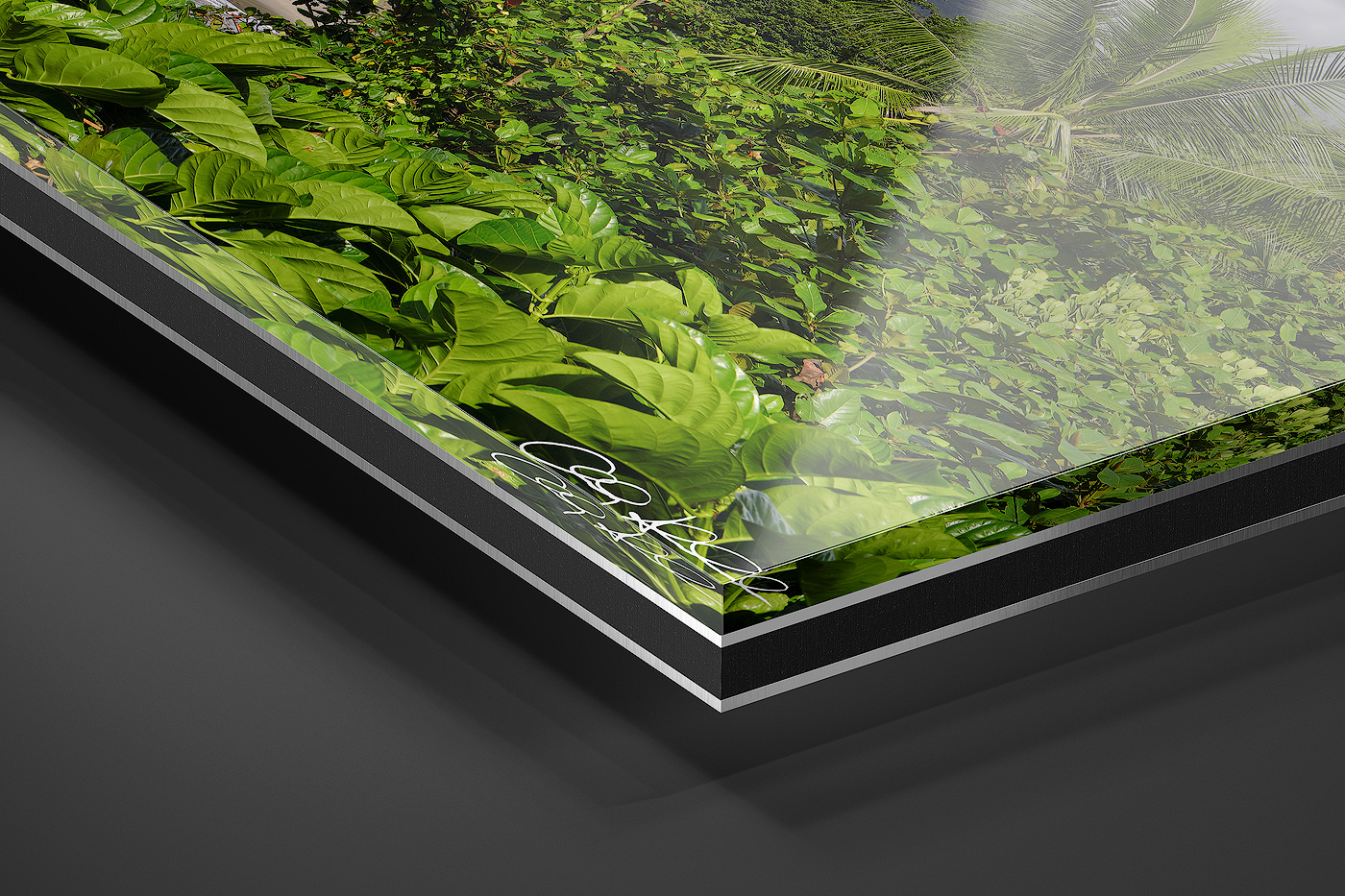 Acrylic Facemount | Ready to Hang print preview
