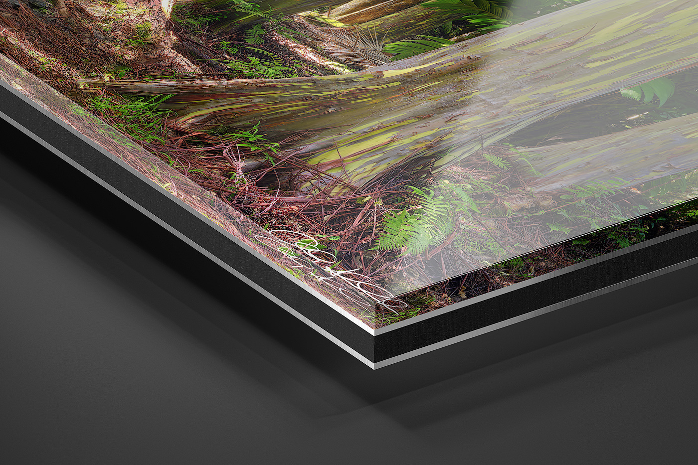 Acrylic Facemount | Ready to Hang print preview