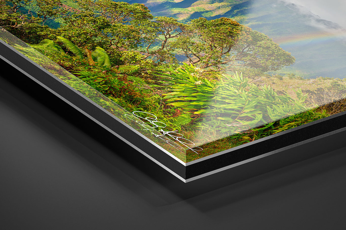 Acrylic Facemount | Ready to Hang print preview