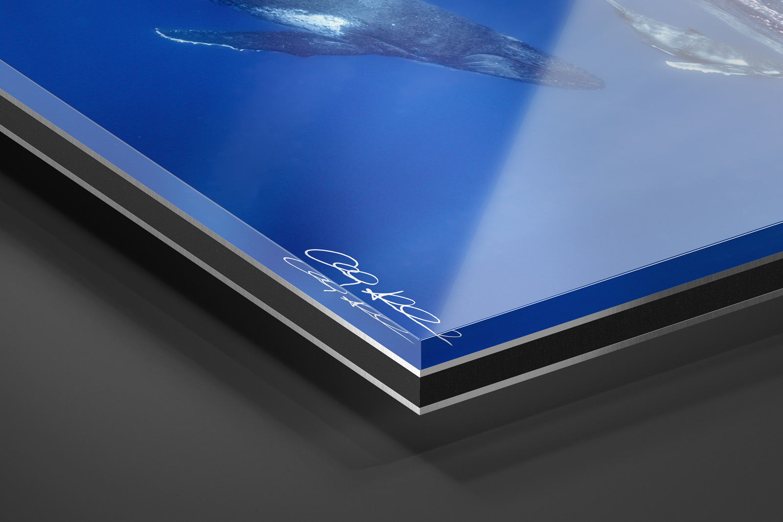 Acrylic Facemount | Ready to Hang print preview