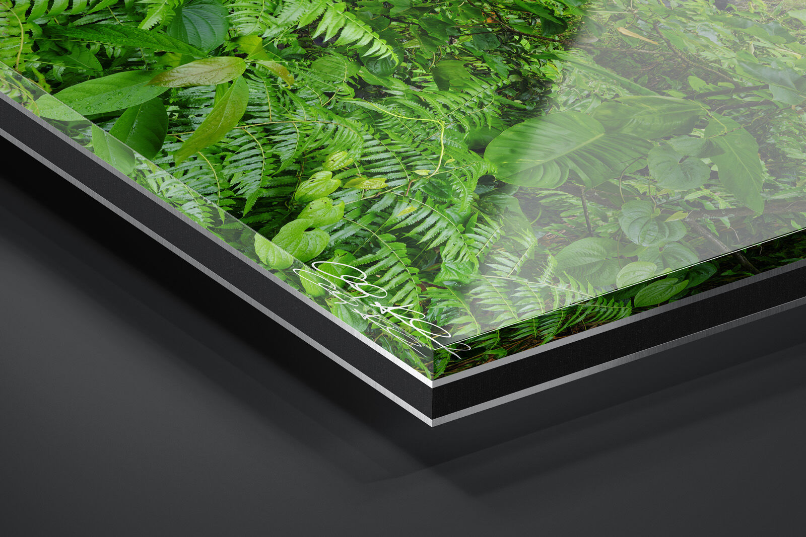 Acrylic Facemount | Ready to Hang print preview