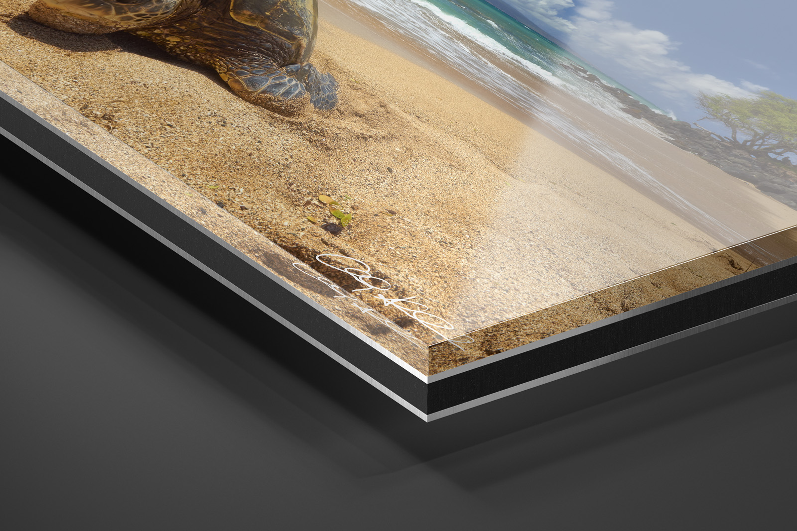 Acrylic Facemount | Ready to Hang print preview
