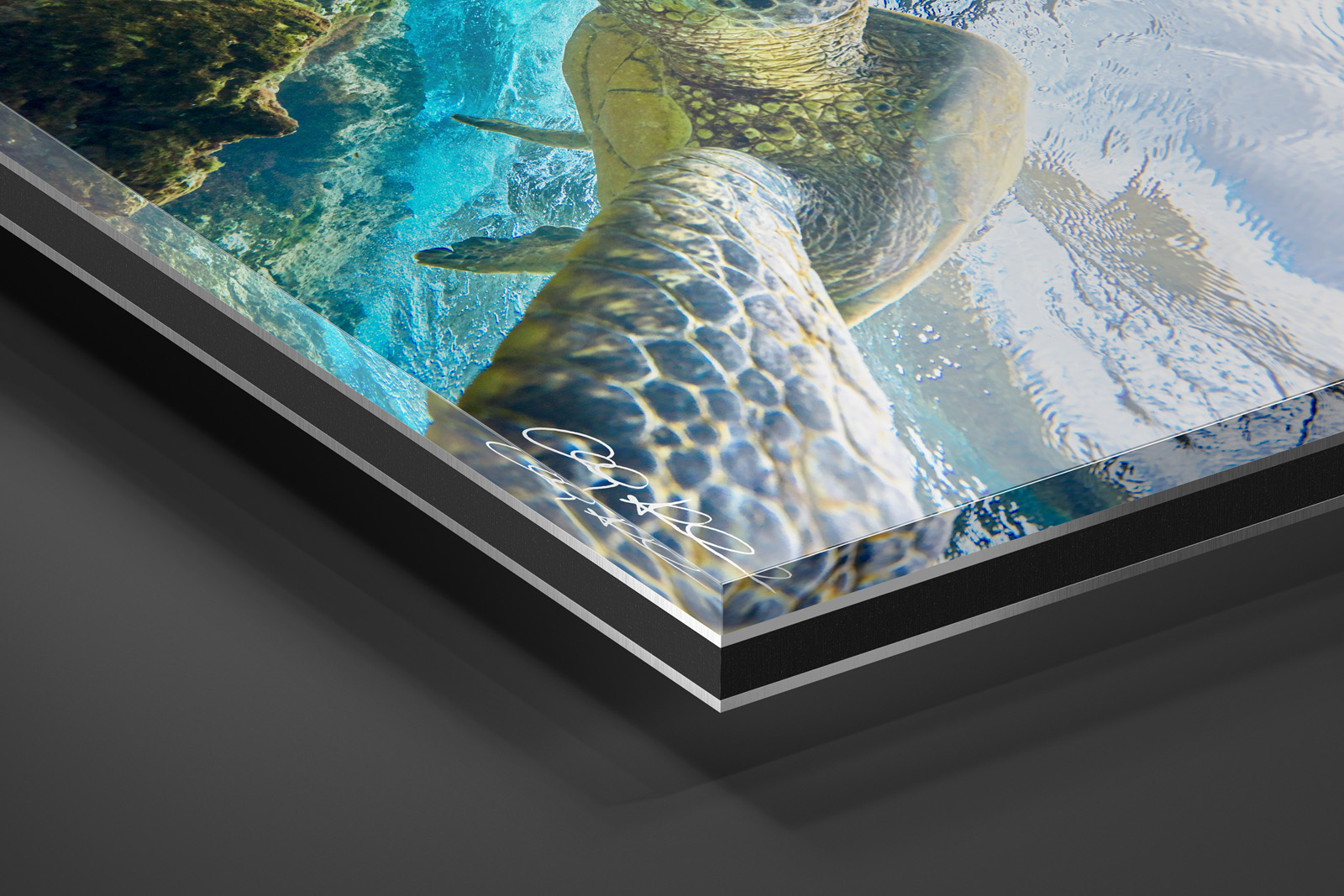 Acrylic Facemount | Ready to Hang print preview