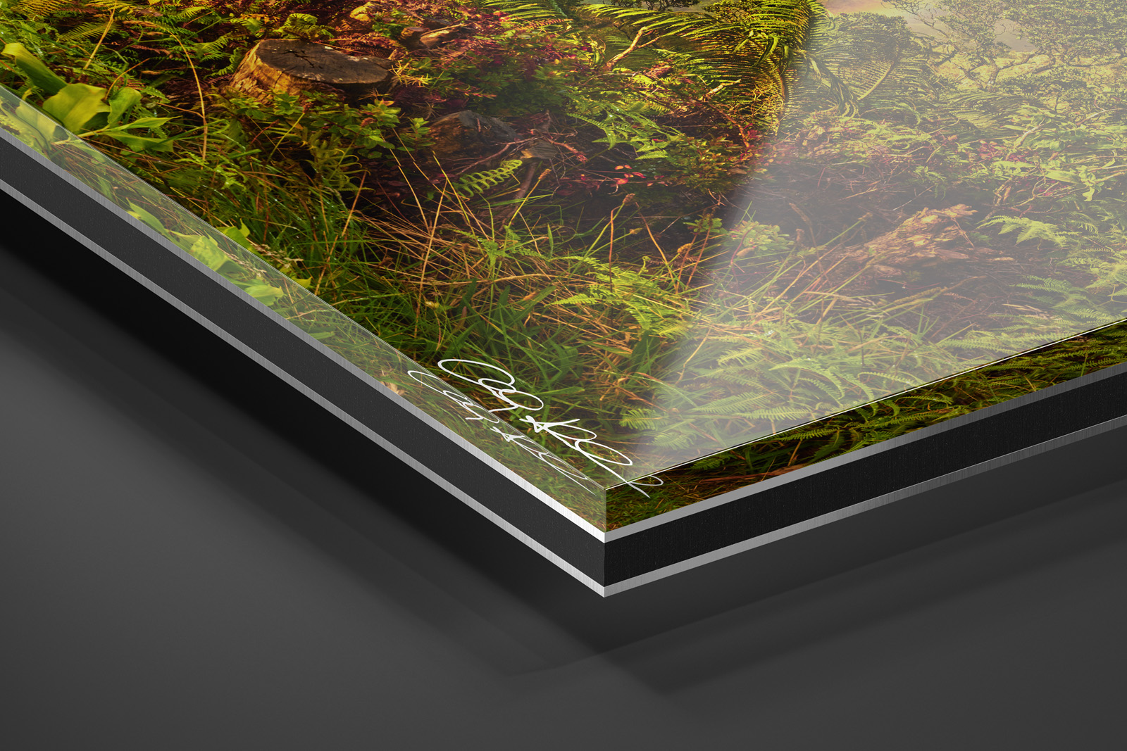 Acrylic Facemount | Ready to Hang print preview