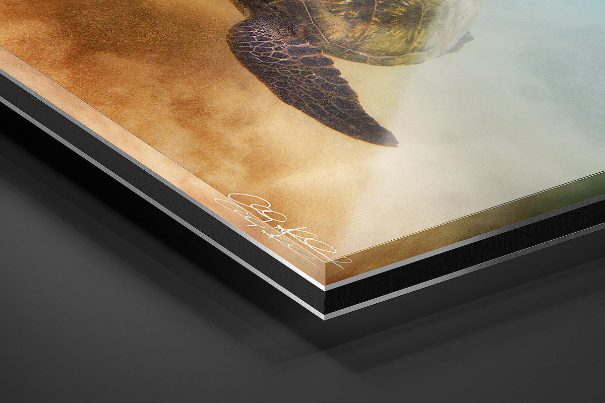 Acrylic Facemount | Ready to Hang print preview