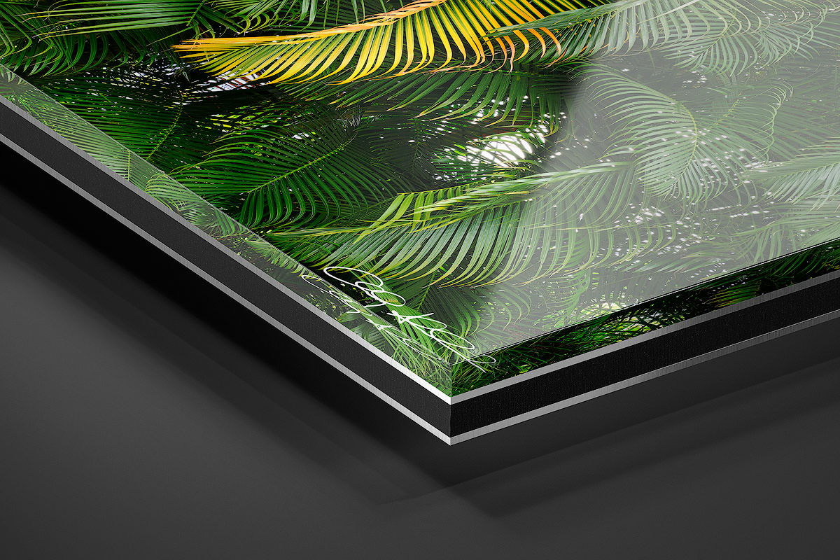 Acrylic Facemount | Ready to Hang print preview