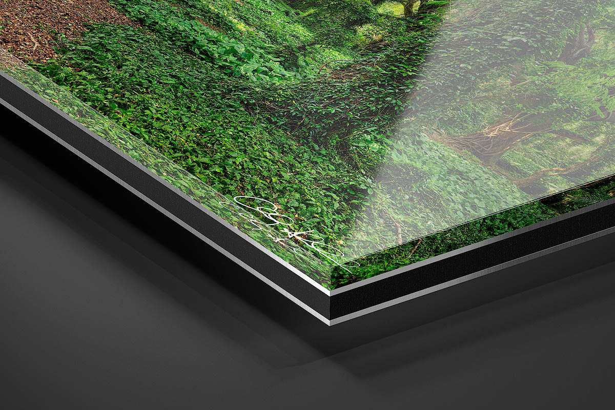 Acrylic Facemount | Ready to Hang print preview
