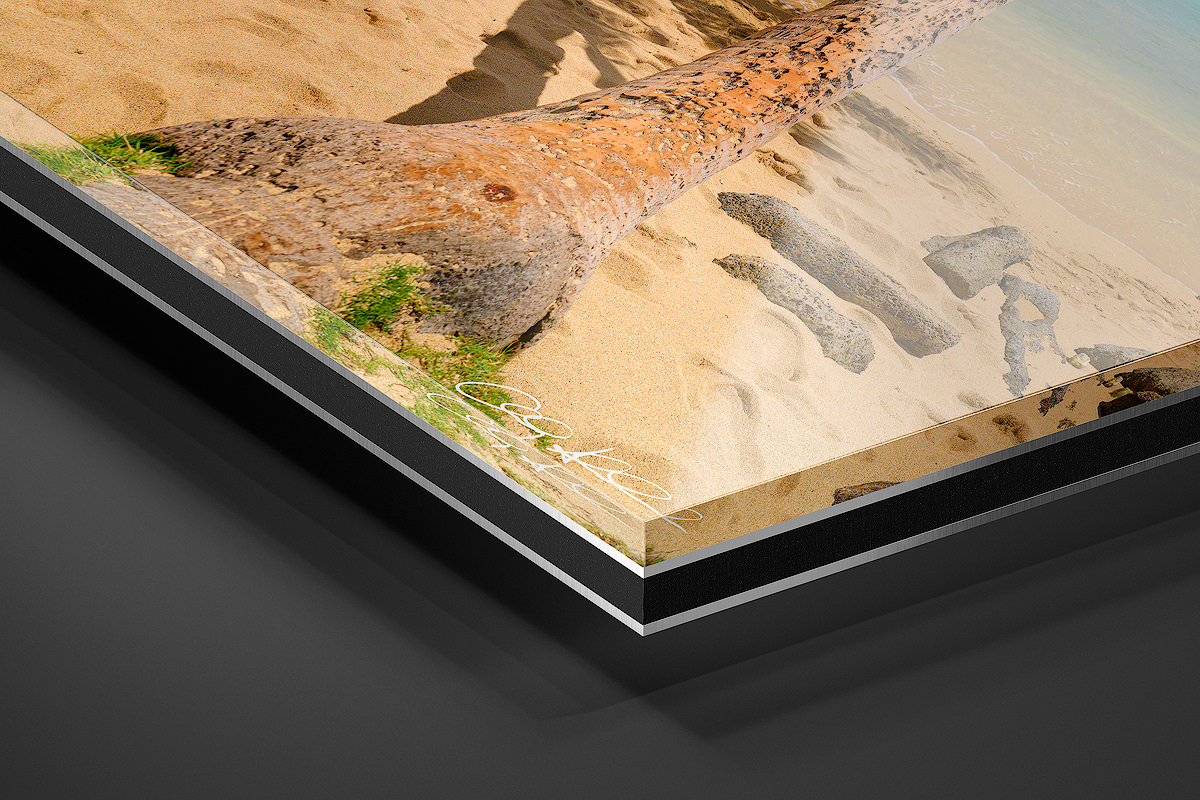 Acrylic Facemount | Ready to Hang print preview