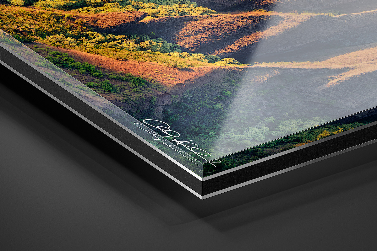 Acrylic Facemount | Ready to Hang print preview