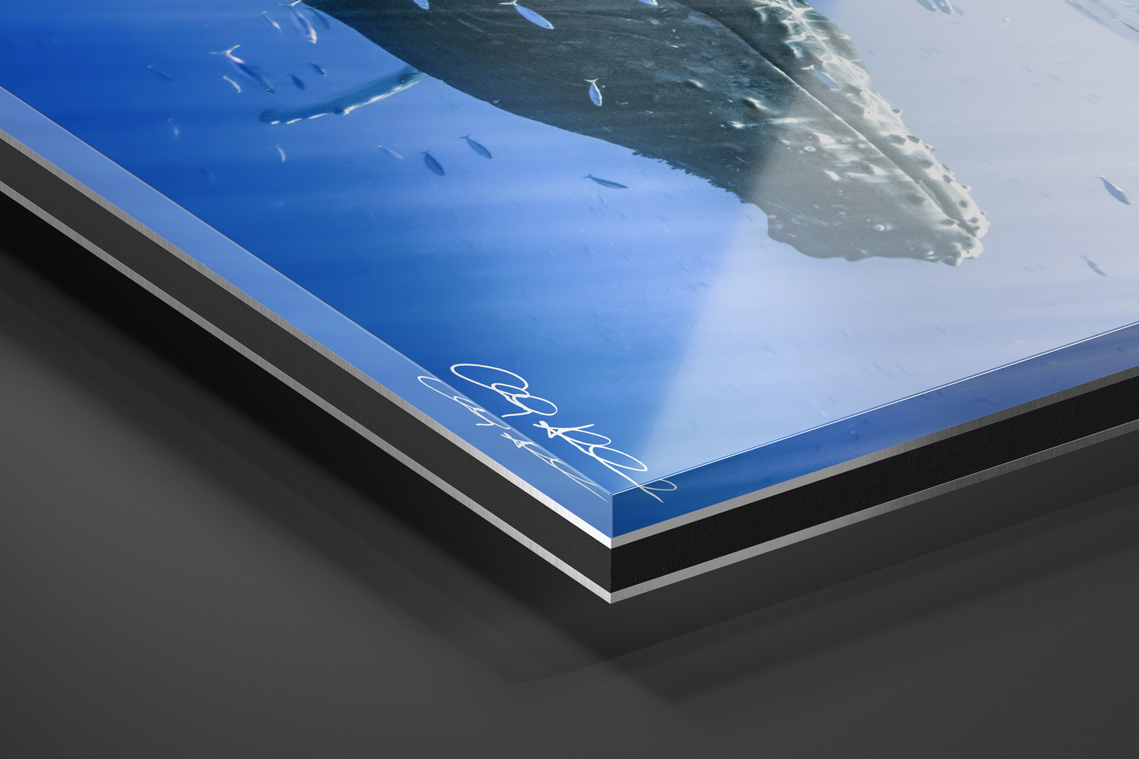 Acrylic Facemount | Ready to Hang print preview
