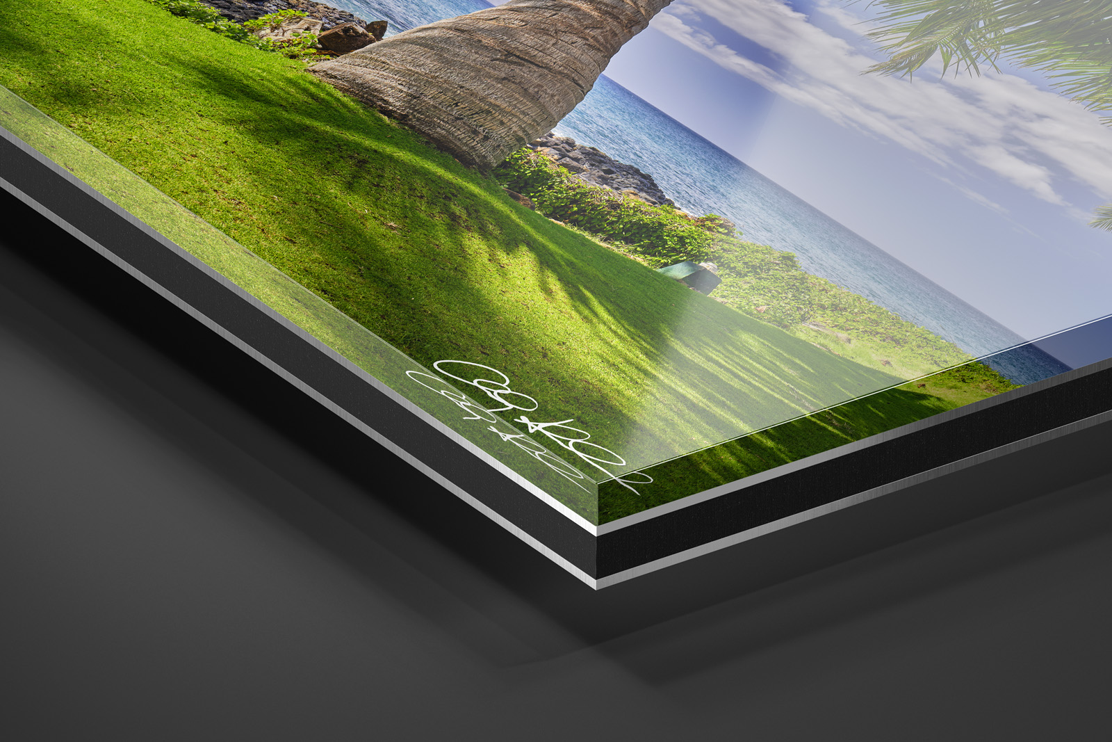 Acrylic Facemount | Ready to Hang print preview
