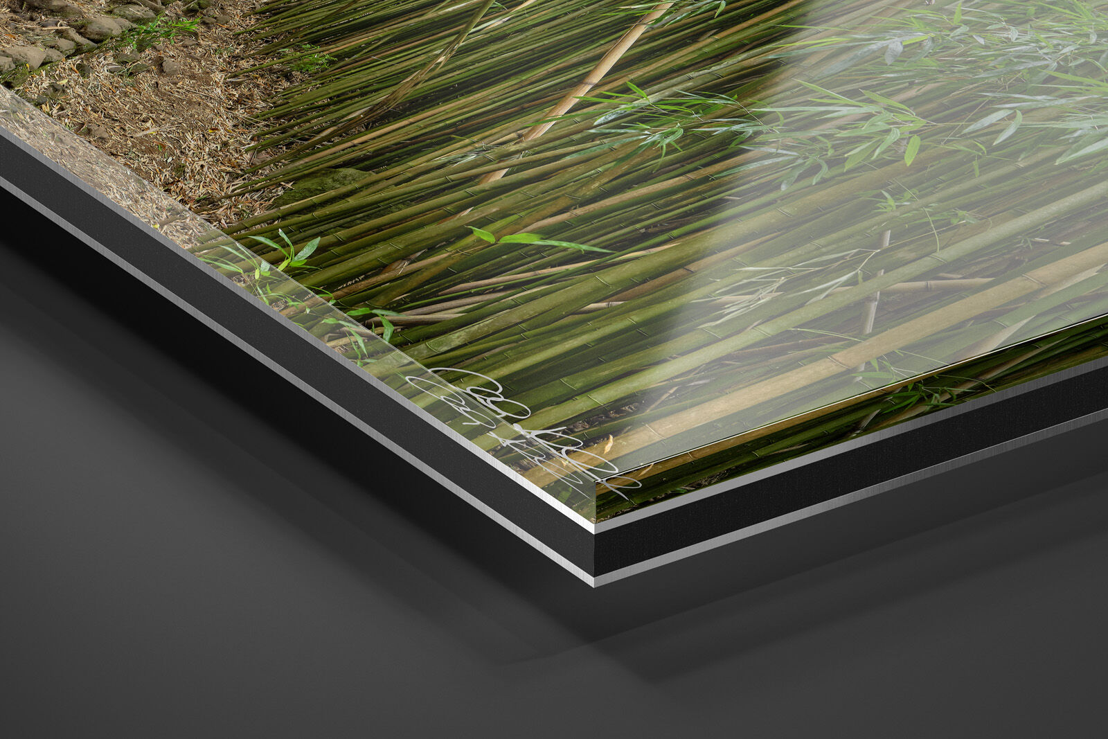 Acrylic Facemount | Ready to Hang print preview