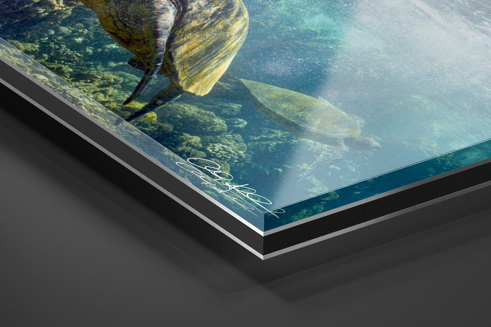 Acrylic Facemount | Ready to Hang print preview