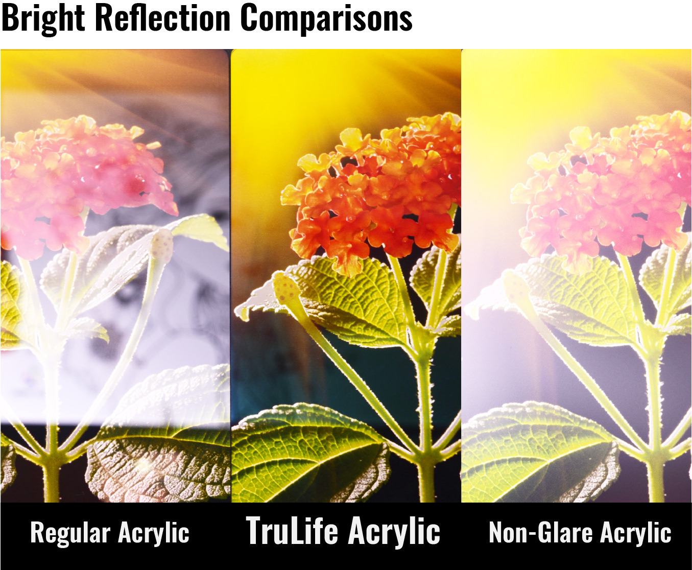 Bright Reflection Comparisons