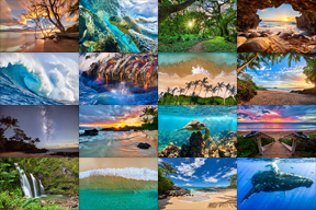 andrew shoemaker hawaii