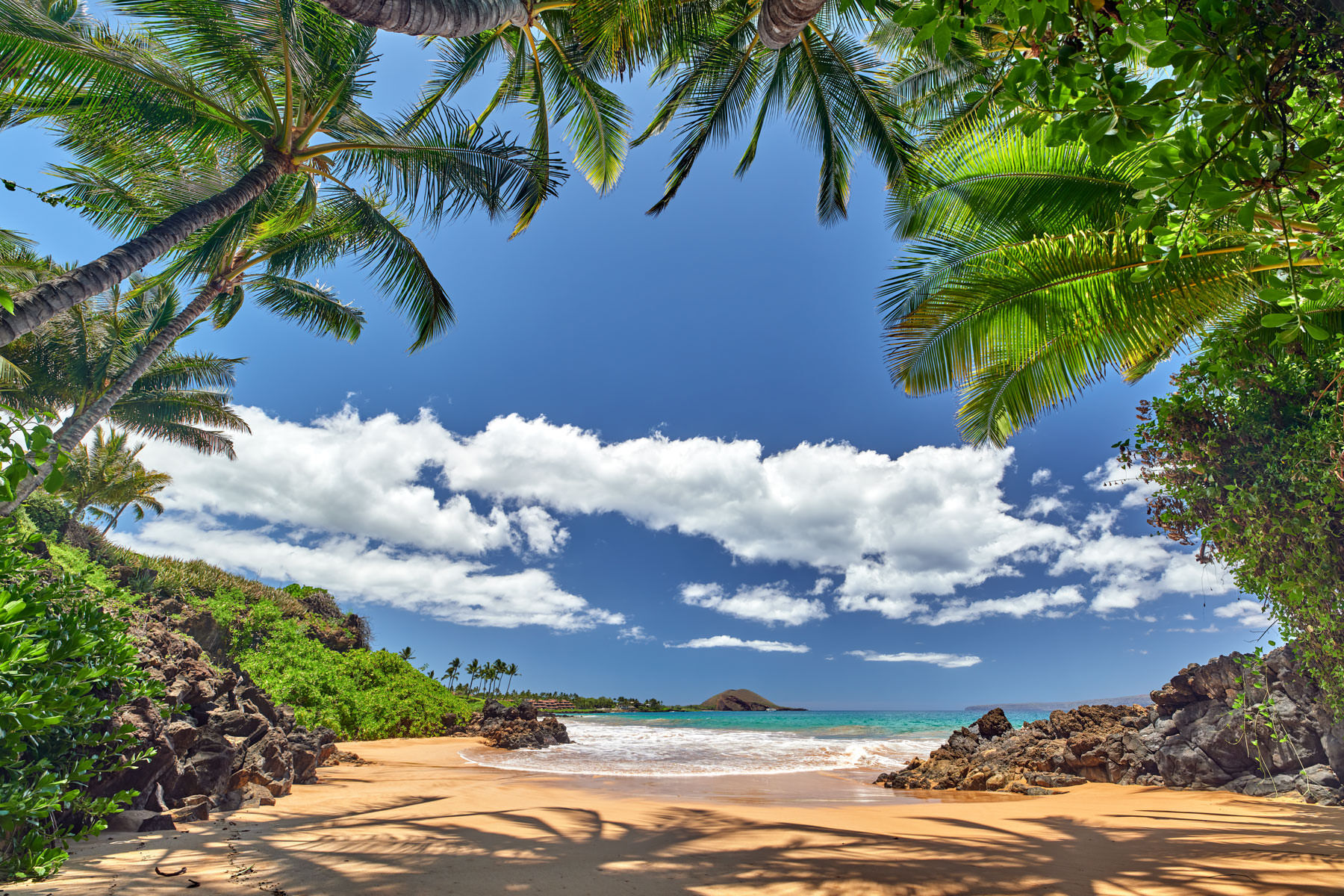 E Komo Mai a beautiful view looking through a palm tree cove in Makena on the Hawaiian island of Maui