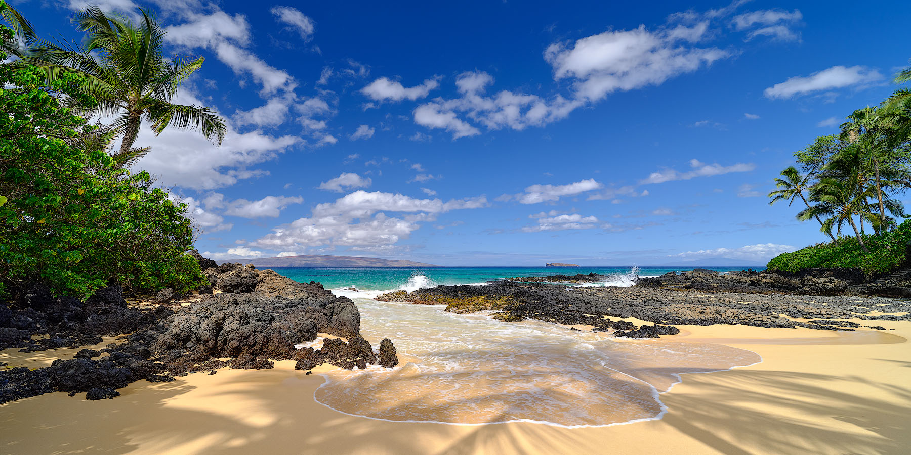 Eleusis Panorama panoramic view of Secret Beach on the island of Maui with the shadows from the palm trees in the foreground as a wave comes in